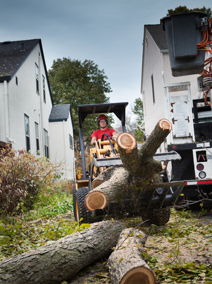Çevre Düzenleme Hizmetleri 